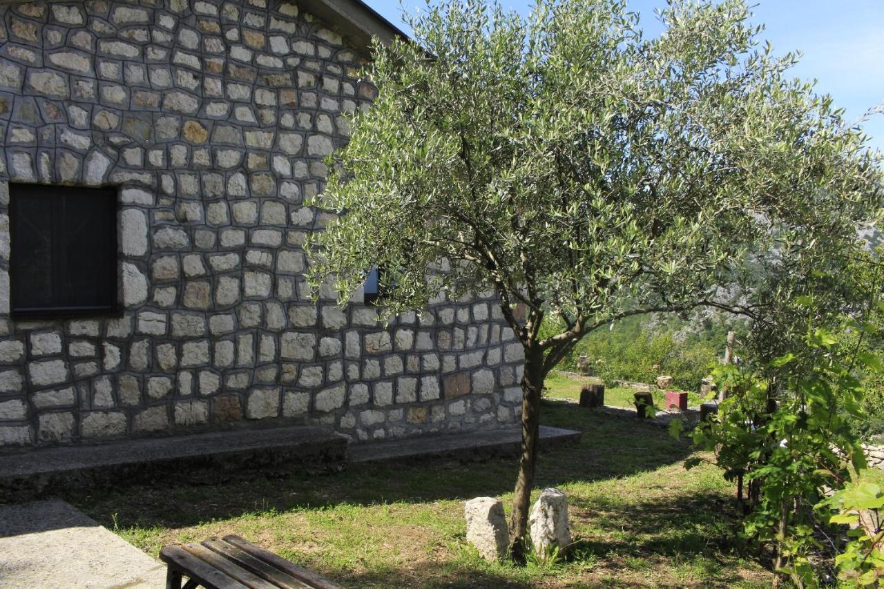 Villa Rent House Orahovo Virpazar Exterior foto